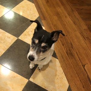 Meet your Posher, Kathleen